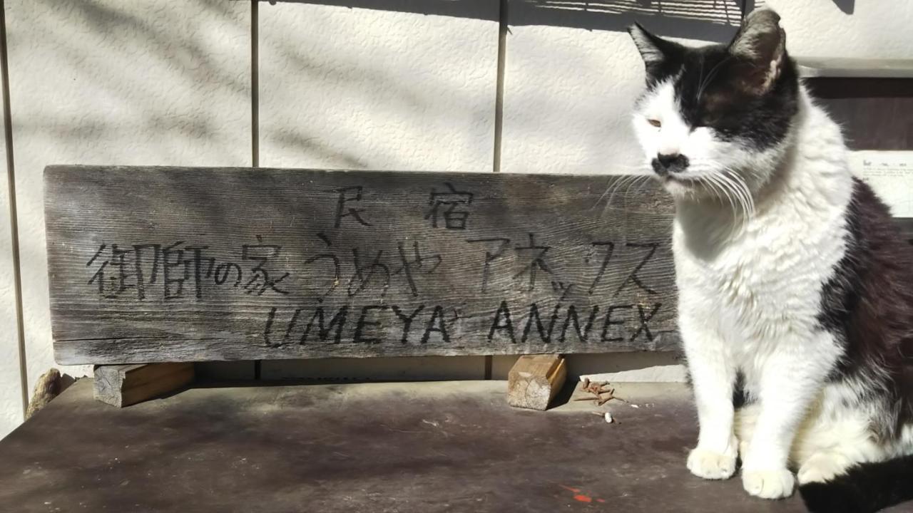 Umeya Annex Guest House Fujikawaguchiko Ngoại thất bức ảnh